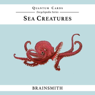 

Brainsmith Sea Creatures Quantum Cards(Multicolor)
