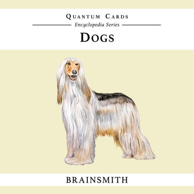 Brainsmith Dogs Quantum Cards(Multicolor)