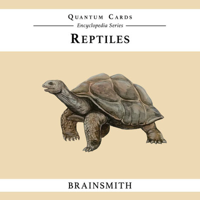 

Brainsmith Reptiles Quantum Cards(Multicolor)