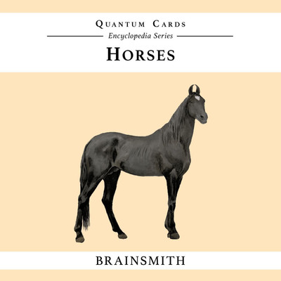 

Brainsmith Horses Quantum Cards(Multicolor)