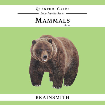 

Brainsmith Mammals (Set II) Quantum Cards(Multicolor)