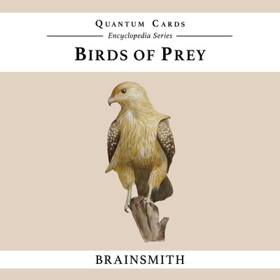 

Brainsmith Birds of Prey Quantum Cards(Multicolor)