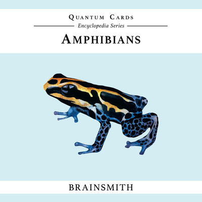 

Brainsmith Amphibians Quantum Cards(Multicolor)