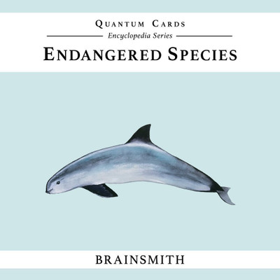 

Brainsmith Endangered Species Quantum Cards(Multicolor)