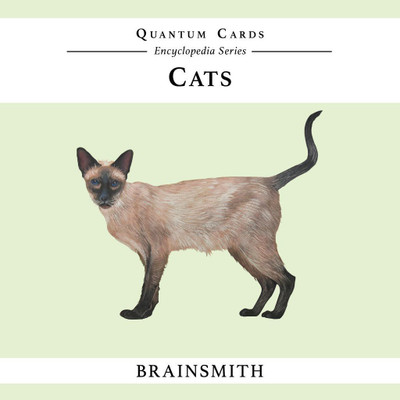 

Brainsmith Cats Quantum Cards(Multicolor)