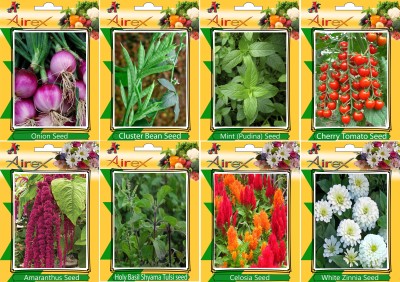 Airex Onion, Cluster Bean, Mint (Pudina), Tomato Cherry, Red Amaranthus, Holy Basil (Shyama Tulsi), Celosia and White Zinnia Seed (Pack Of 20 seed * 4 Per Pkts of Vegetables) + (Pack Of 20 Seed * 4 Per Pkts Flower) Seed Seed(20 per packet)