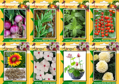 

Airex Onion, Cluster Bean, Mint (Pudina), Tomato Cherry, Gaillardia, White Vinca, Lotus and White Marigold Seed (Pack Of 25 seed * 4 Per Pkts of Vegetables) + (Pack Of 25 Seed * 3 Per Pkts Flower + 10 White Marigold) Seed + Get 1 Pkts of Herb Seed Free Se