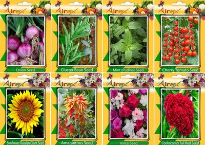 

Airex Onion, Cluster Bean, Mint (Pudina), Tomato Cherry, Sunflower, Amaranthus, Vinca and Cockscomb Tall Red Seed (Pack Of 25 seed * 4 Per Pkts of Vegetables) + (Pack Of 25 Seed * 4 Per Pkts Flower) Seed + Get 1 Pkts of Herb Seed Free Seed(25 per packet)