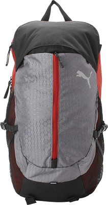 

Puma Apex Backpack IND 23 L Backpack(Multicolor), Red dahlia