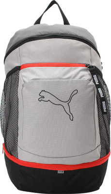 

Puma Echo Backpack IND 22 L Backpack(Grey), Ash
