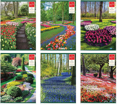 

Navneet A4 Notebook(Flower Garden, Multicolor, Pack of 6)