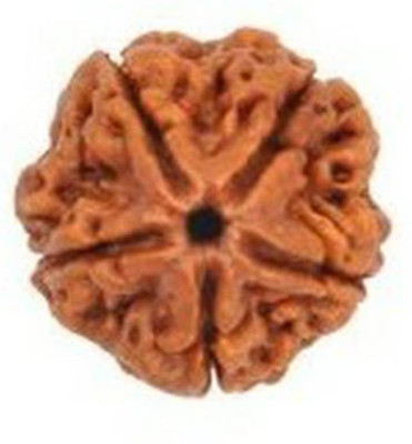 Eshopify 5 Mukhi Rudraksha Silk Dori