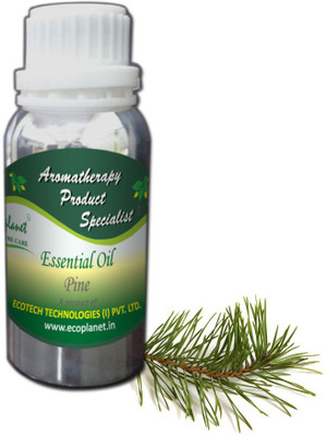 

Ecoplanet Sage Essential Oil(50 g)