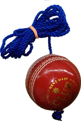 

Diablo Practice Cricket Training Ball(Pack of 1, Red)