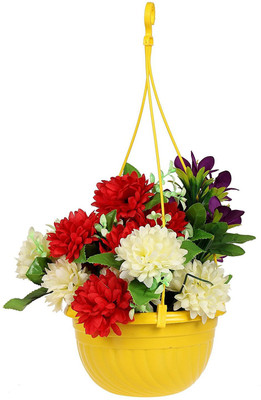 

sovam Plant Container Set(Plastic)