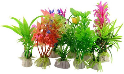 Priyathams IMPORTED BEAUTIFUL FISH TANK/AQUARIUM GRASS Seed(60 per packet)