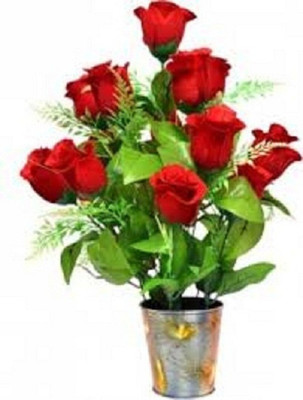 

Priyathams Rose Seed(20 per packet)