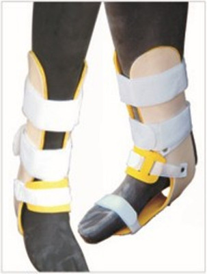 

IGR Ankle Immobilizer F.P. Large Ankle Support (L, Beige)