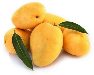

PHAL KART Kesar Mangoes From Gujrat 9 Pieces(3/4 Dozen)