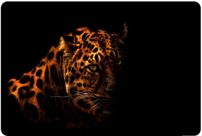 

joinkart L17LAP246 vinyl Laptop Decal 17