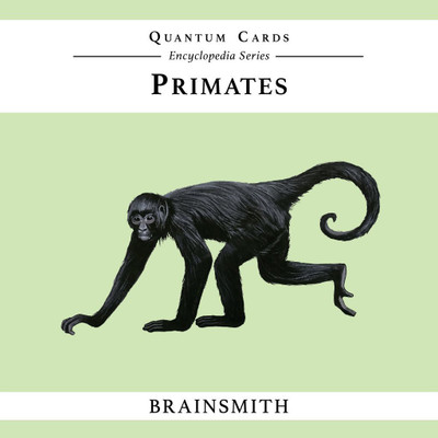 

Brainsmith Primates Quantum Cards(Multicolor)