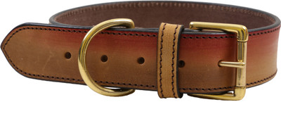

PetSutra Leather Dog Collar Aurora – Adjustable Premium Handmade Fashion Collar Dog Everyday Collar(Large, Aurora)