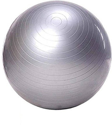 

GOCART High Quality 65 cm Gym Fitness Aerobics Yoga Ball/gym ball/exercise ball/Swiss ball/ Slimming Exercise Ball Gym Ball, Grey