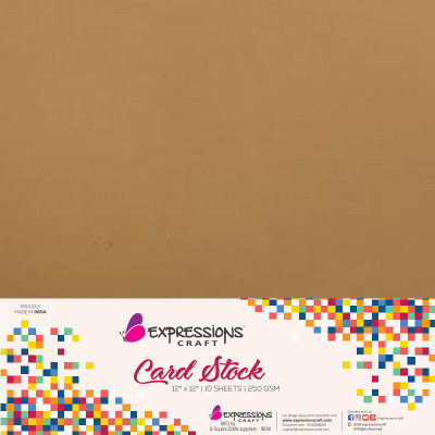

expressions craft stamps Cardstock Plain 12X12 Multipurpose Paper(Set of 1, Brown)