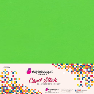 

expressions craft stamps Cardstock Plain 12x12 Multipurpose Paper(Set of 1, Green)