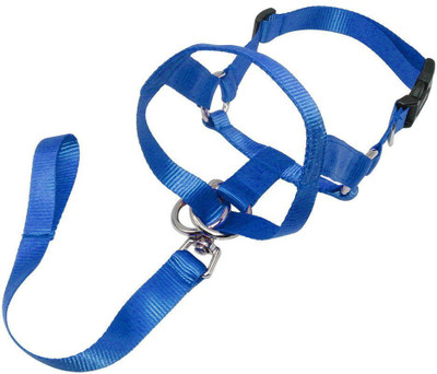 

Skora Nylon Dog Muzzle Pet Head Collar Training Mouth Cage for Dogs S M L XL Sizes Dog Head Collar(, Blue