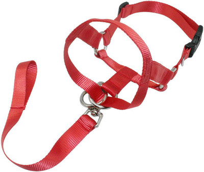 

Skora Nylon Dog Muzzle Pet Head Collar Training Mouth Cage for Dogs S M L XL Sizes Dog Head Collar(Medium, Red)