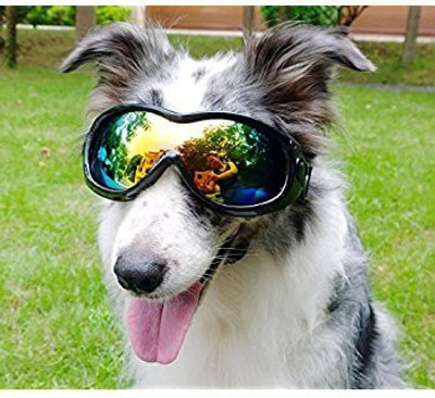 

Birds' Park Dog Goggles- Sunglass"Good for pups & adults dogs" Pet Sunscreen(1 ml)