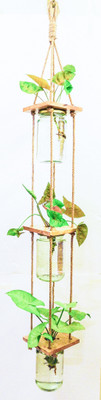 

Barish WP-04 Plant Container Set(Wood)
