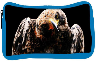 

Snoogg Eco Friendly Canvas Angry Eagle Designer Student Pen Pencil Case Coin Purse Pouch Cosmetic Makeup Bag (BLUE) Pouch(Multicolor)
