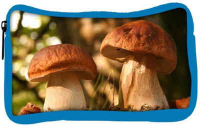 

Snoogg Eco Friendly Canvas Abstract Mushroom Designer Student Pen Pencil Case Coin Purse Pouch Cosmetic Makeup Bag (BLUE) Pouch(Multicolor)
