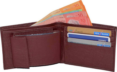 

Wildland Men Brown Artificial Leather Wallet(10 Card Slots)
