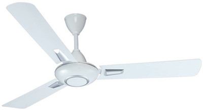 

RALLIFAN MariGold 380 RPM Ceiling Fan (White) 3 Blade Ceiling Fan(ivory, Pack of 1), Brown