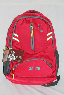 

X Factor 19 inch Laptop Backpack(Silver, Red)