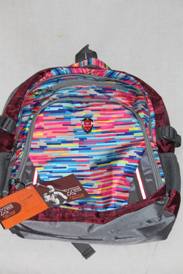 

X Factor 19 inch Laptop Backpack(Silver, Red)