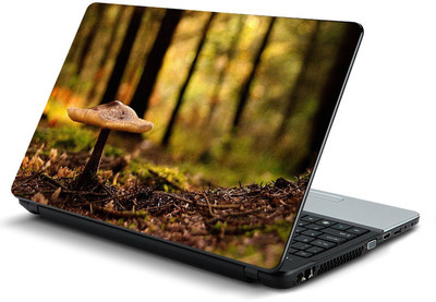 

fashionduet FDPC-0006 vinyl Laptop Decal 15.6