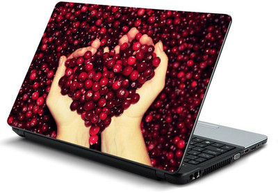 

fashionduet FDPC-0275 vinyl Laptop Decal 15.6