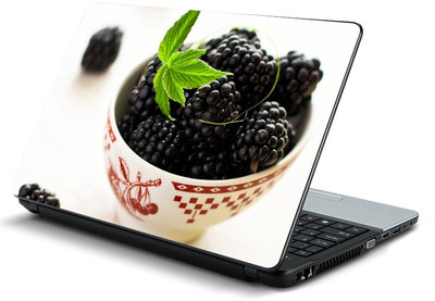 

fashionduet FDPC-0148 vinyl Laptop Decal 15.6