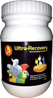 

ROYAL PET Hand-Feeding Formula (250g) Ultra-Recovery |High Protein Formula With Electrolyte Powder | A Complete Nutritional Support Formula For Sick or Injured Birds | 250 g Wet Bird Food
