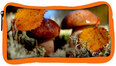 

Snoogg Eco Friendly Canvas Shining Mushroom Designer Student Pen Pencil Case Coin Purse Pouch Cosmetic Makeup Bag (ORANGE) Pouch(Multicolor)