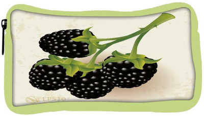 

Snoogg Eco Friendly Canvas Blackberries Vector Student Pen Pencil Case Coin Purse Pouch Cosmetic Makeup Bag (GREEN) Pouch(Multicolor)