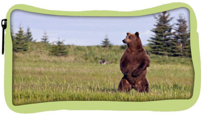 

Snoogg Eco Friendly Canvas Standing Bear Designer Student Pen Pencil Case Coin Purse Pouch Cosmetic Makeup Bag (GREEN) Pouch(Multicolor)