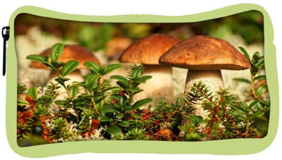 

Snoogg Eco Friendly Canvas Mushroom In Garden Designer Student Pen Pencil Case Coin Purse Pouch Cosmetic Makeup Bag (GREEN) Pouch(Multicolor)