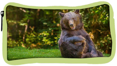 

Snoogg Eco Friendly Canvas Laughing Bear Designer Student Pen Pencil Case Coin Purse Pouch Cosmetic Makeup Bag (GREEN) Pouch(Multicolor)