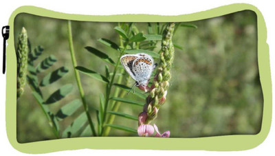 

Snoogg Eco Friendly Canvas White Butterfly Designer Student Pen Pencil Case Coin Purse Pouch Cosmetic Makeup Bag (GREEN) Pouch(Multicolor)