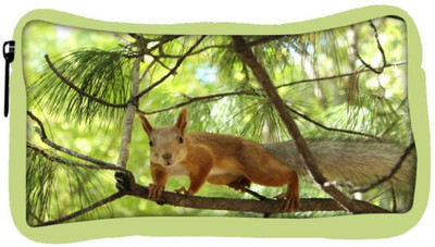 

Snoogg Eco Friendly Canvas Squarril Running Designer Student Pen Pencil Case Coin Purse Pouch Cosmetic Makeup Bag (GREEN) Pouch(Multicolor)